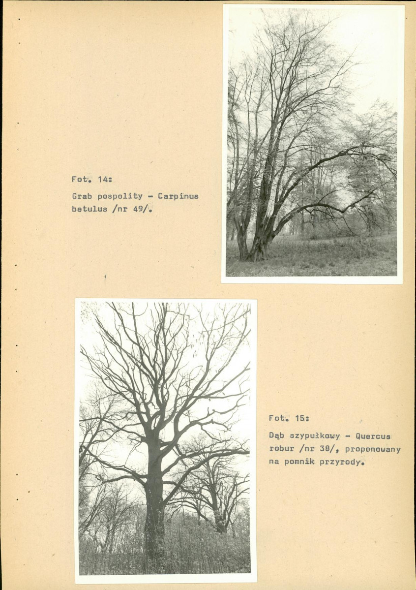 EP - Ewidencja parkowa, skan nr 48