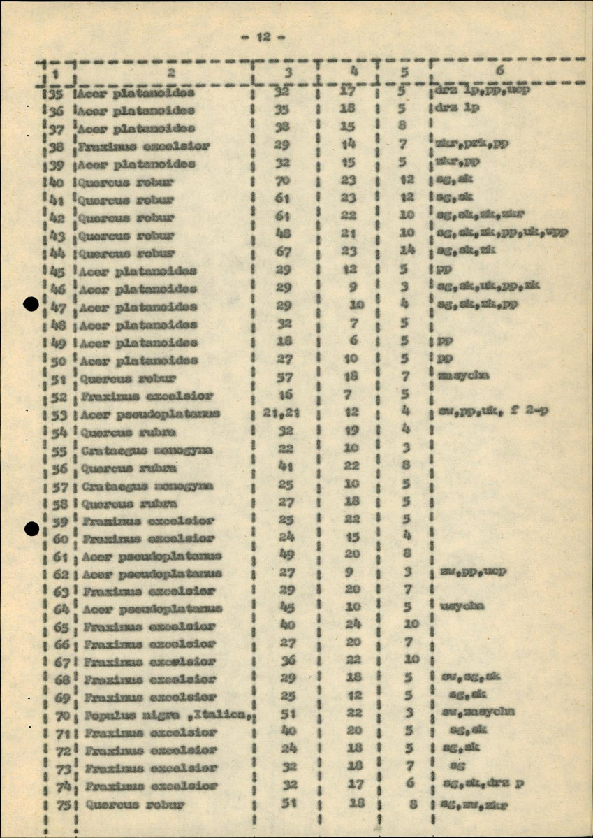 Ewidencja parkowa, skan nr 18