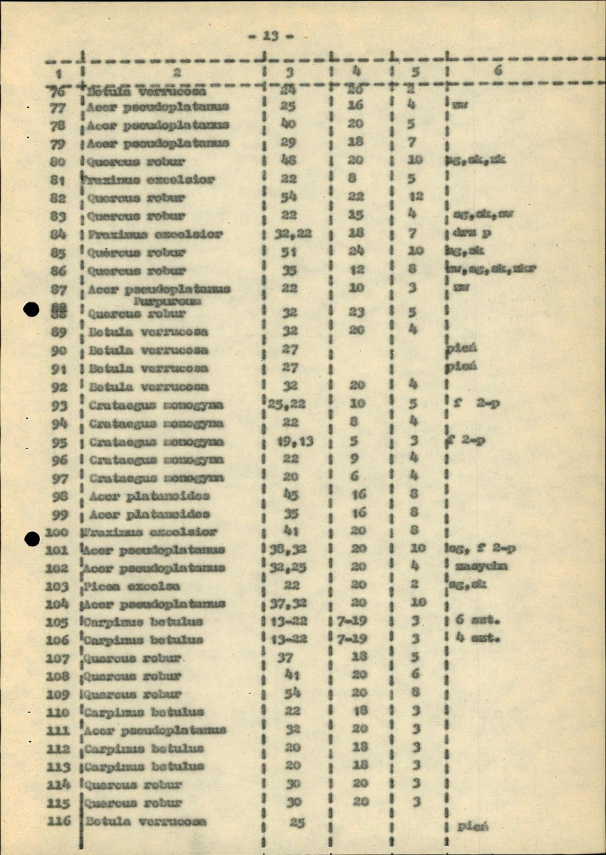 Ewidencja parkowa, skan nr 19