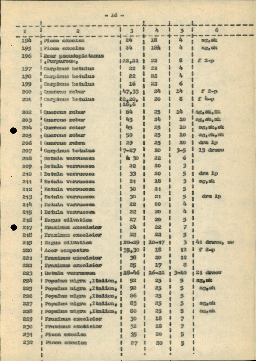 Ewidencja parkowa, skan nr 22