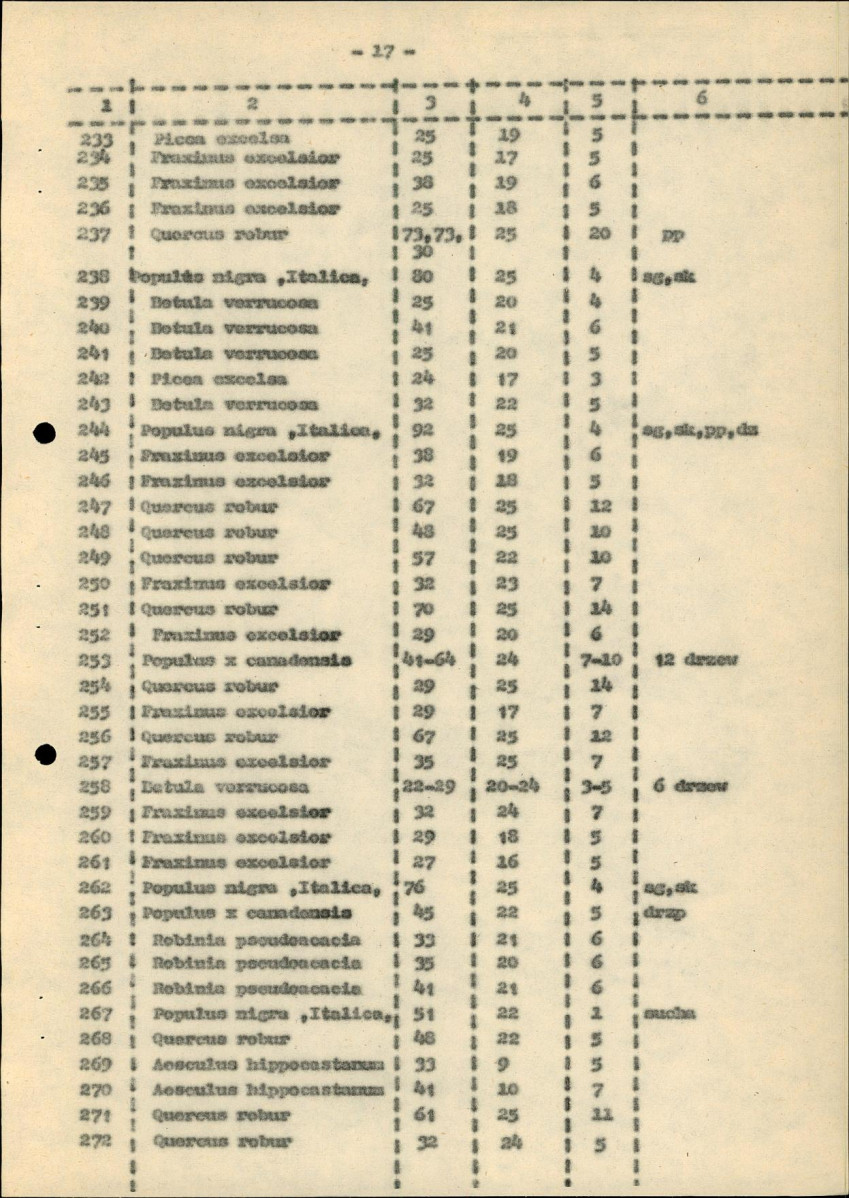 Ewidencja parkowa, skan nr 23