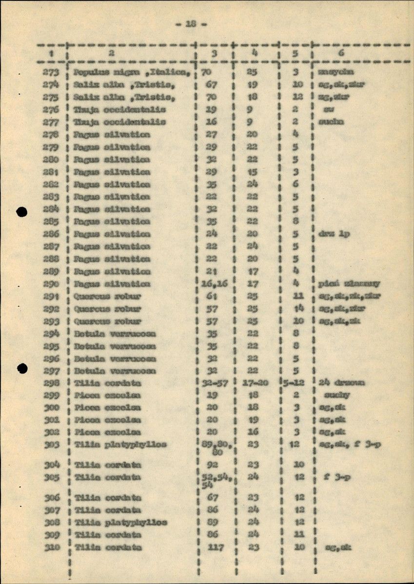 Ewidencja parkowa, skan nr 24