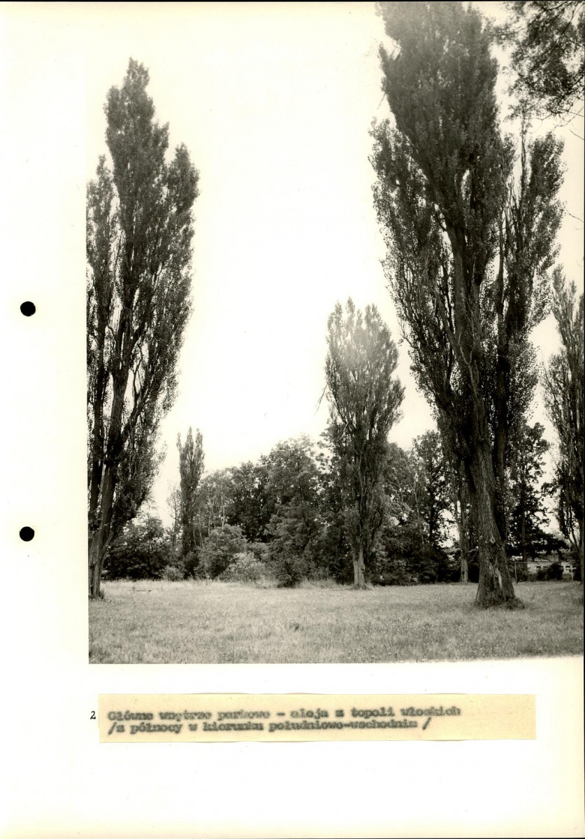 Ewidencja parkowa, skan nr 32
