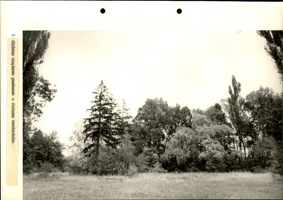 Ewidencja parkowa, skan nr 33
