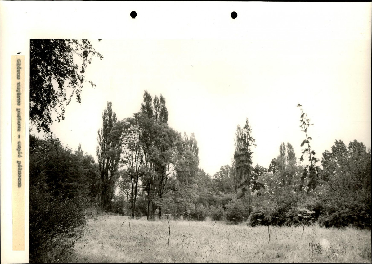 Ewidencja parkowa, skan nr 34