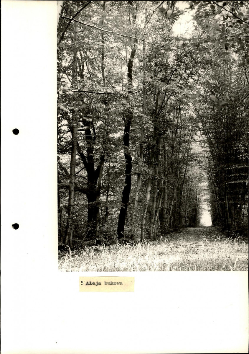 Ewidencja parkowa, skan nr 35
