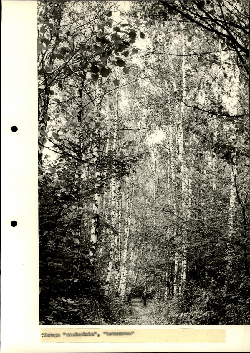 Ewidencja parkowa, skan nr 36