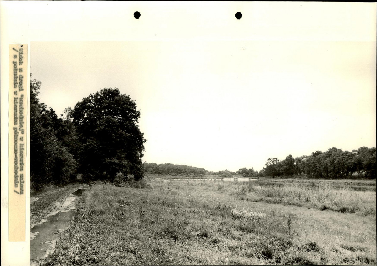Ewidencja parkowa, skan nr 38
