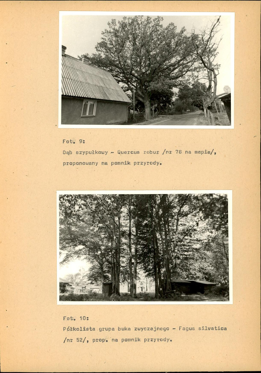 EP - Ewidencja parkowa, skan nr 31