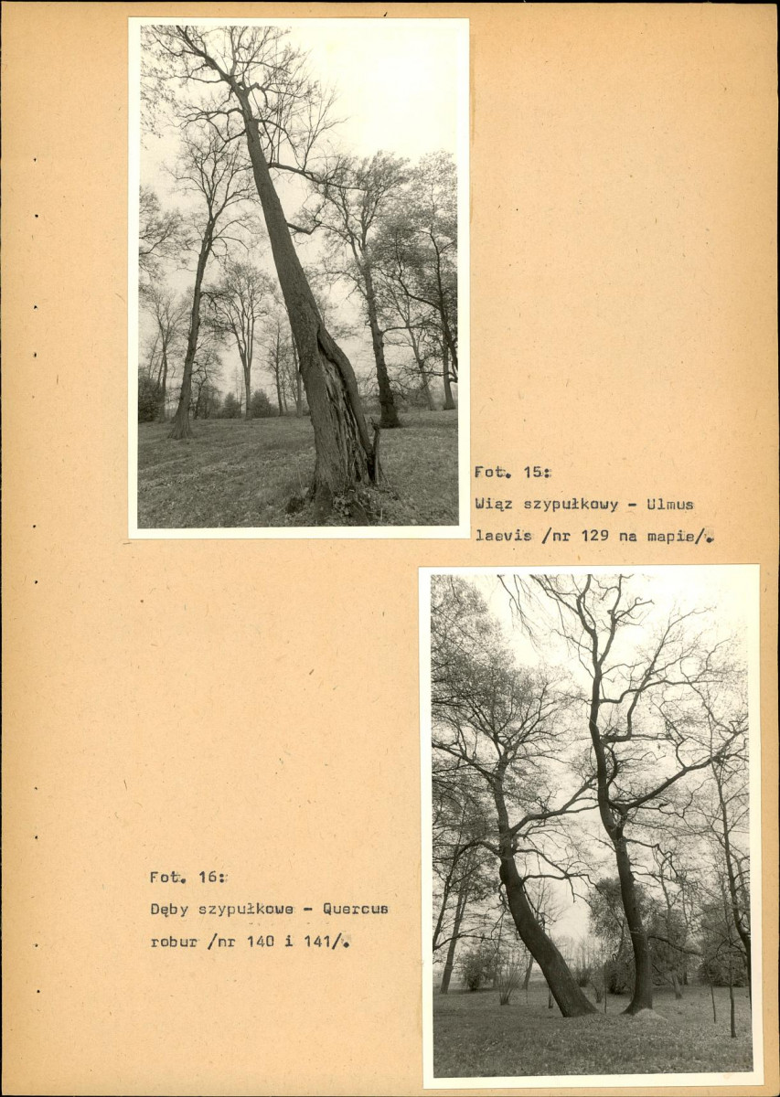 EP - Ewidencja parkowa, skan nr 40