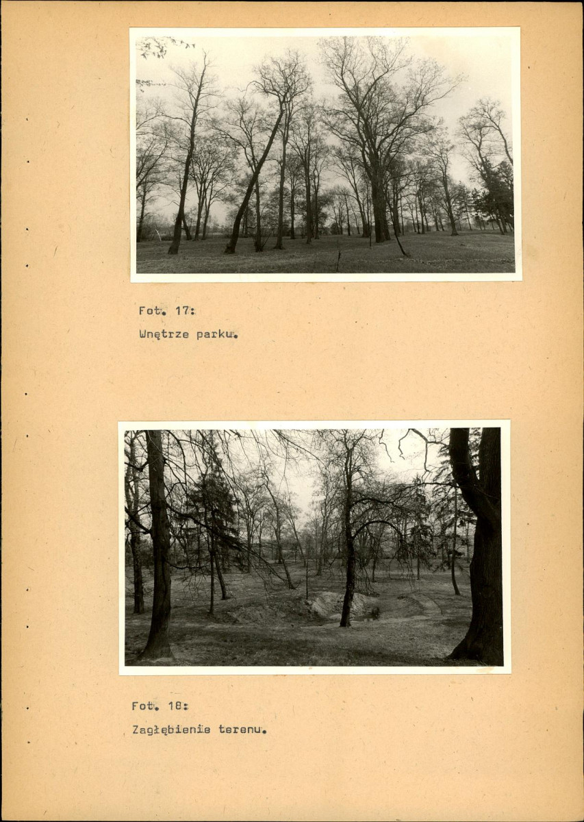 EP - Ewidencja parkowa, skan nr 41