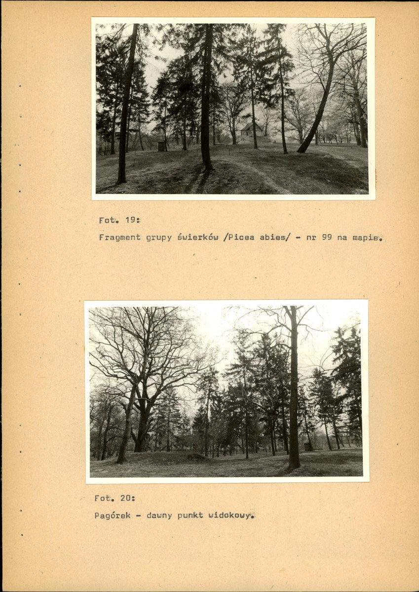 EP - Ewidencja parkowa, skan nr 42