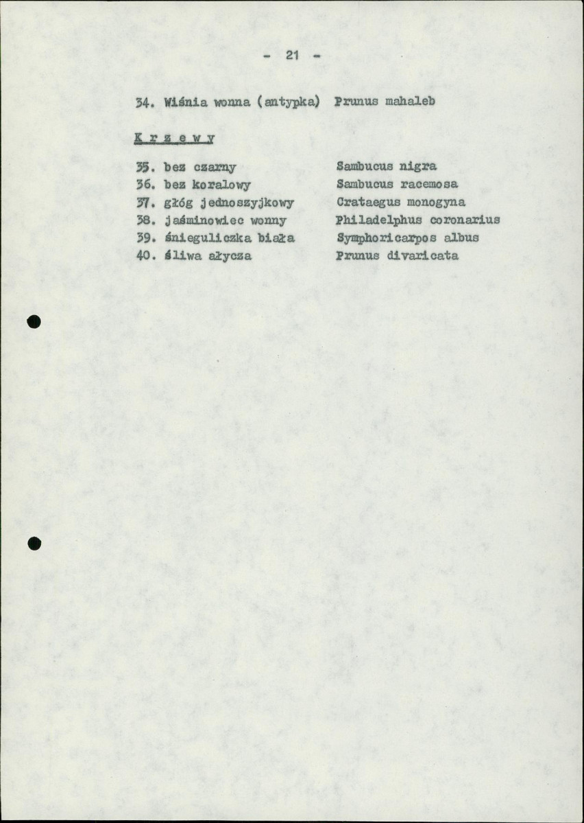 Ewidencja parkowa, skan nr 28