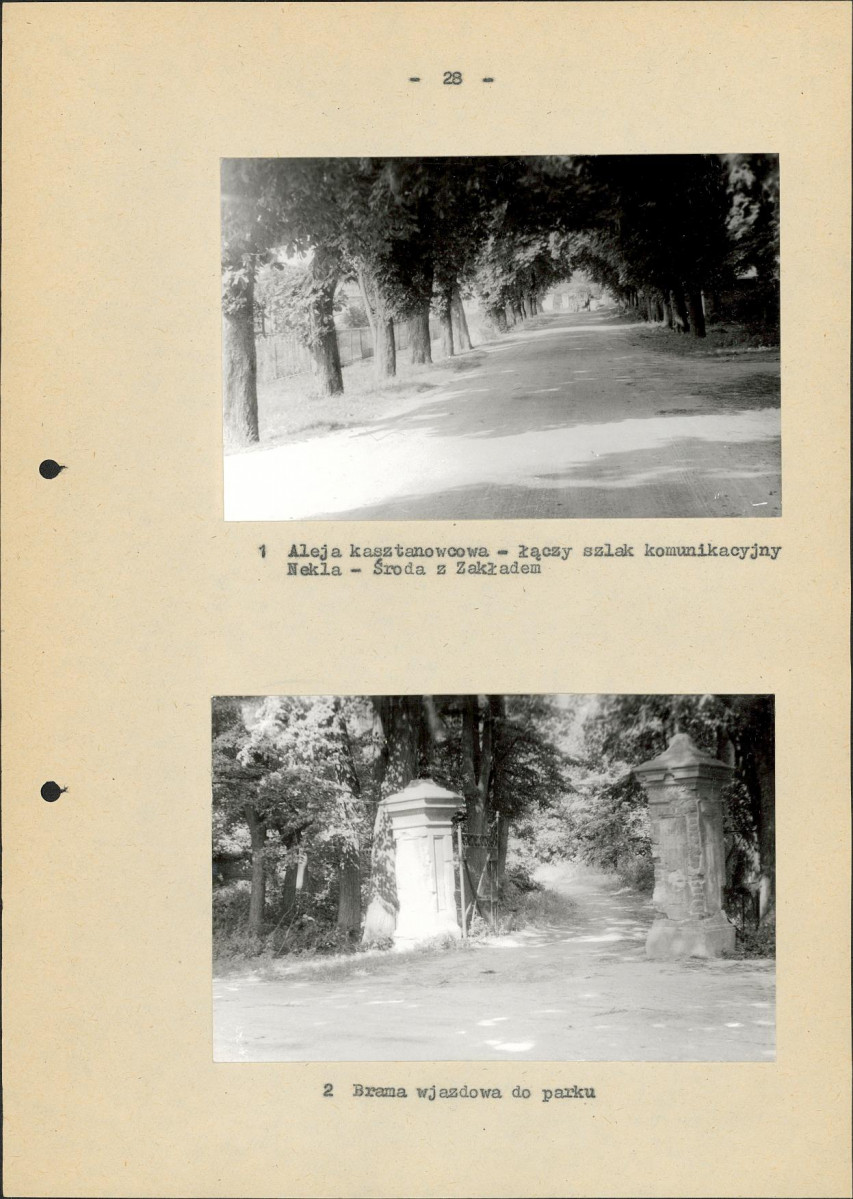 Ewidencja parkowa, skan nr 35