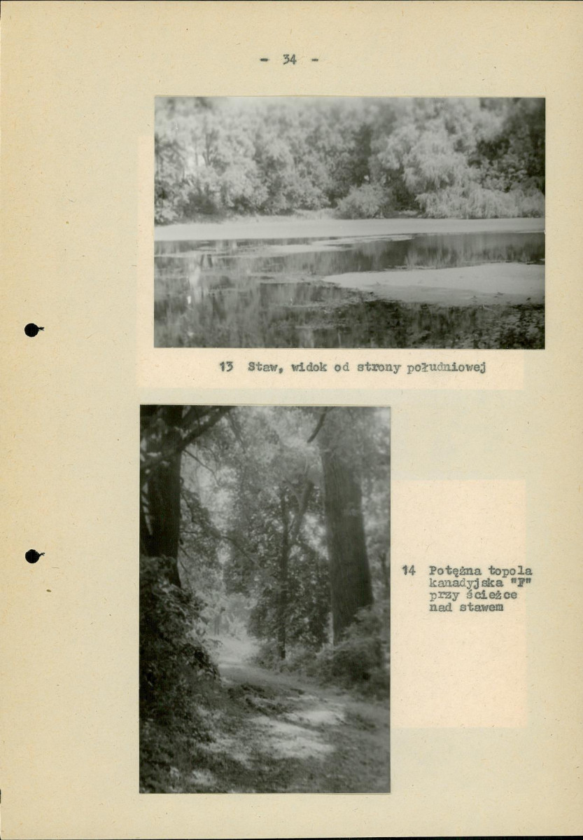 Ewidencja parkowa, skan nr 41