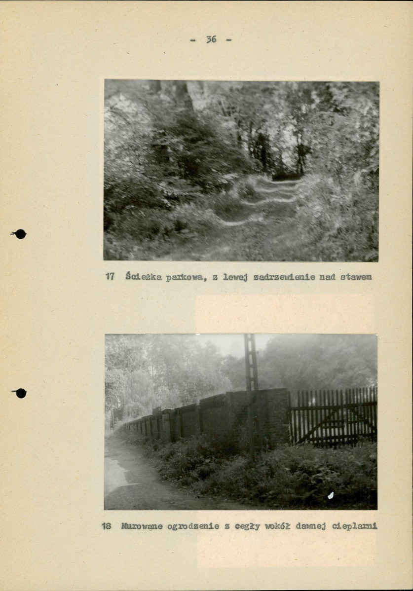 Ewidencja parkowa, skan nr 43