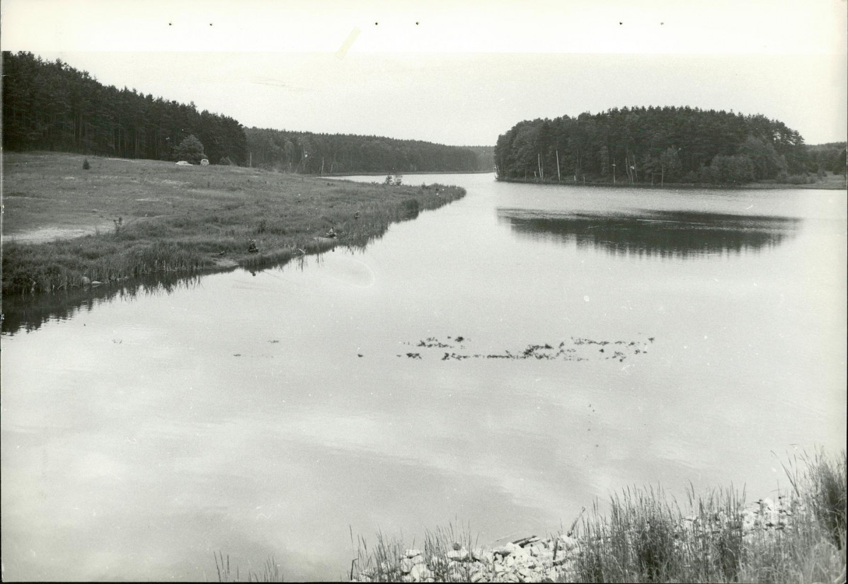 Ewidencja parkowa, skan nr 19