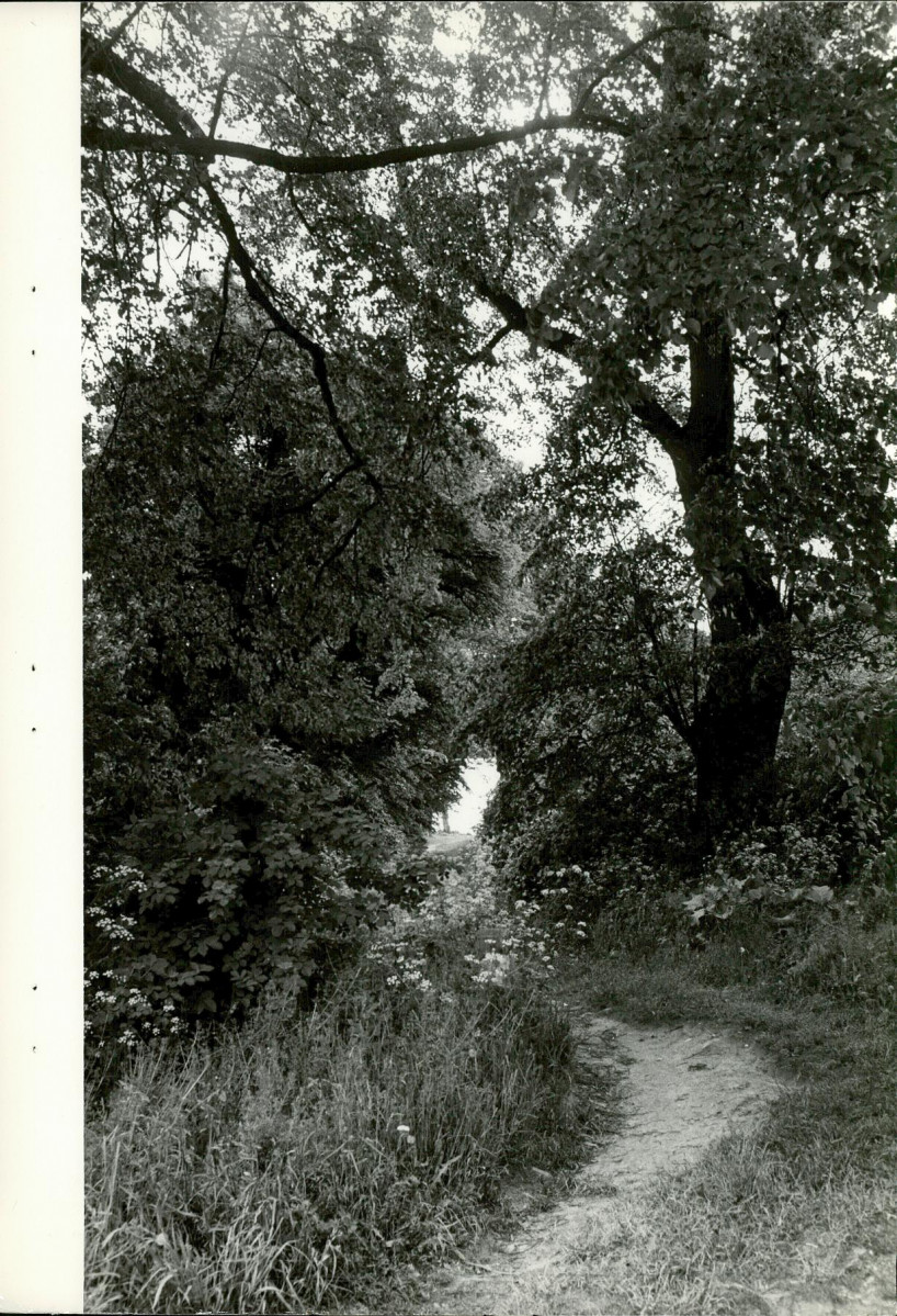 Ewidencja parkowa, skan nr 25