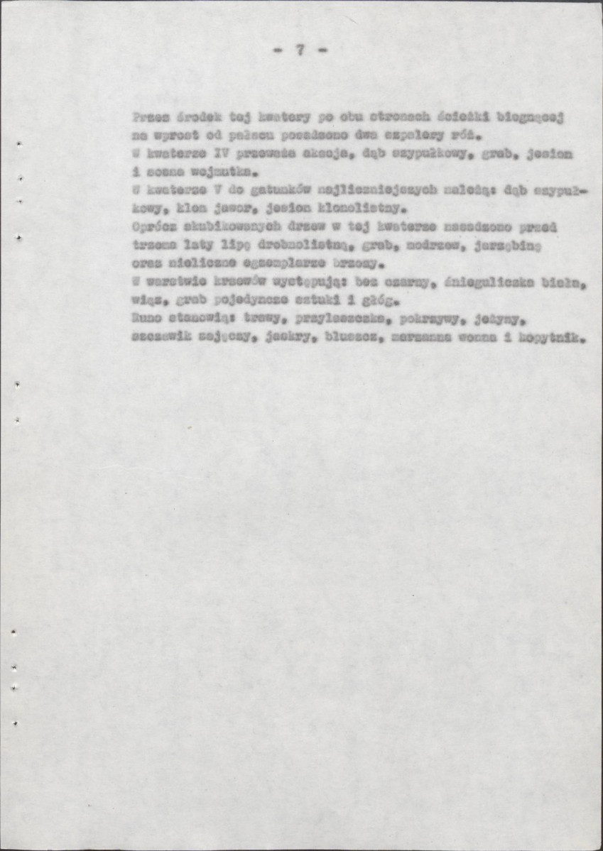 Ewidencja parkowa, skan nr 13