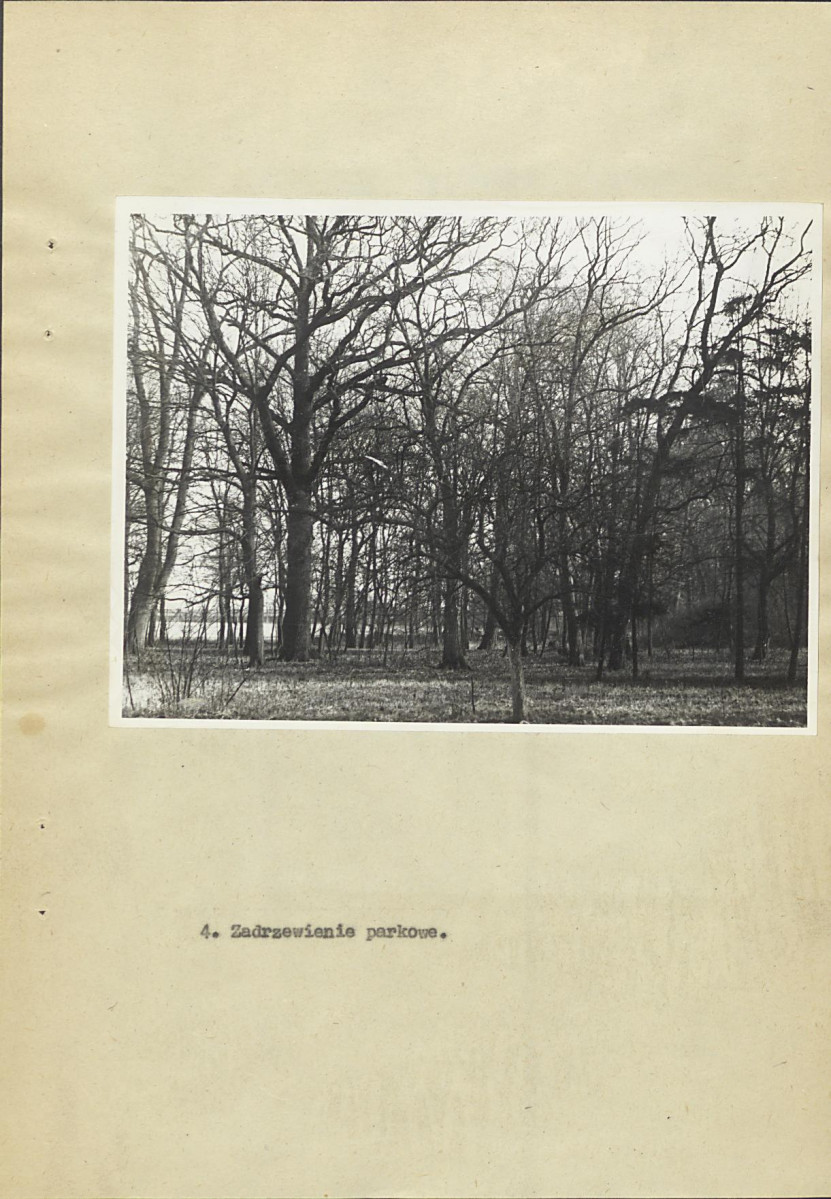 Ewidencja parkowa, skan nr 28