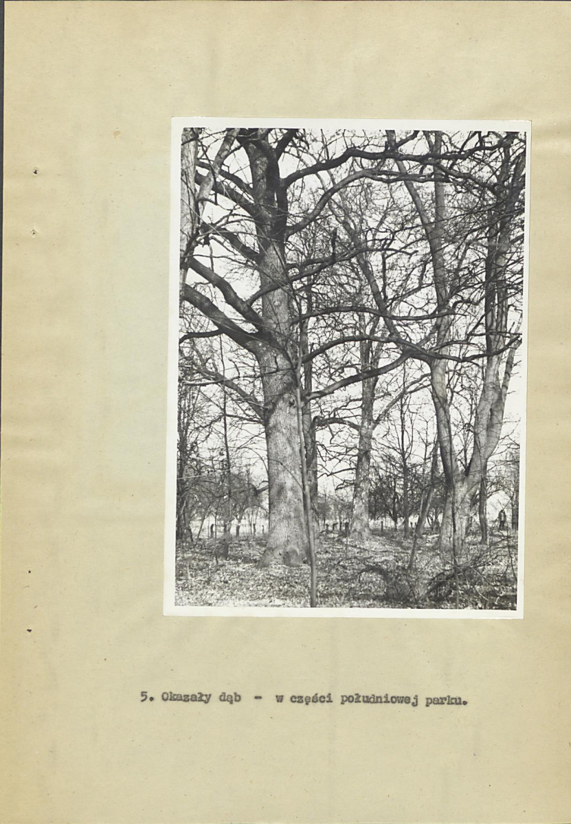 Ewidencja parkowa, skan nr 29