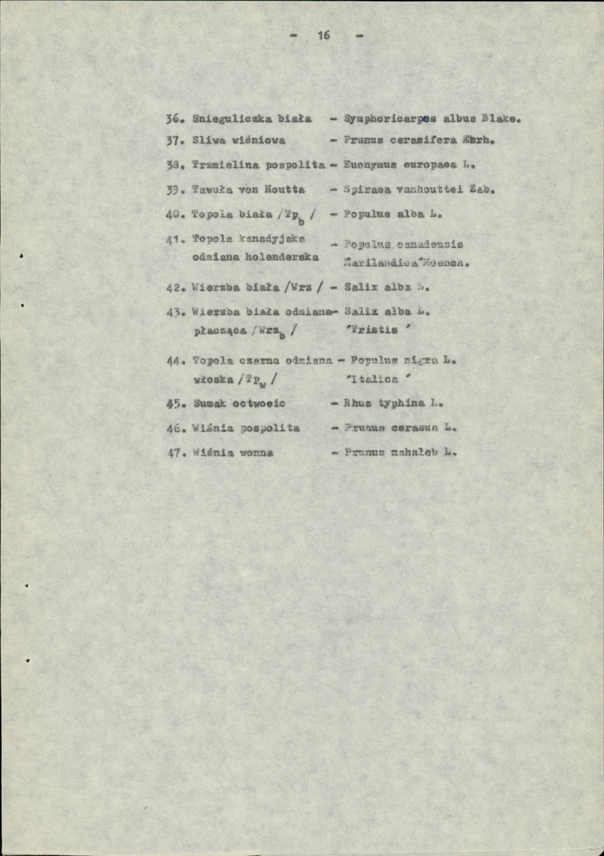 Ewidencja parkowa, skan nr 21