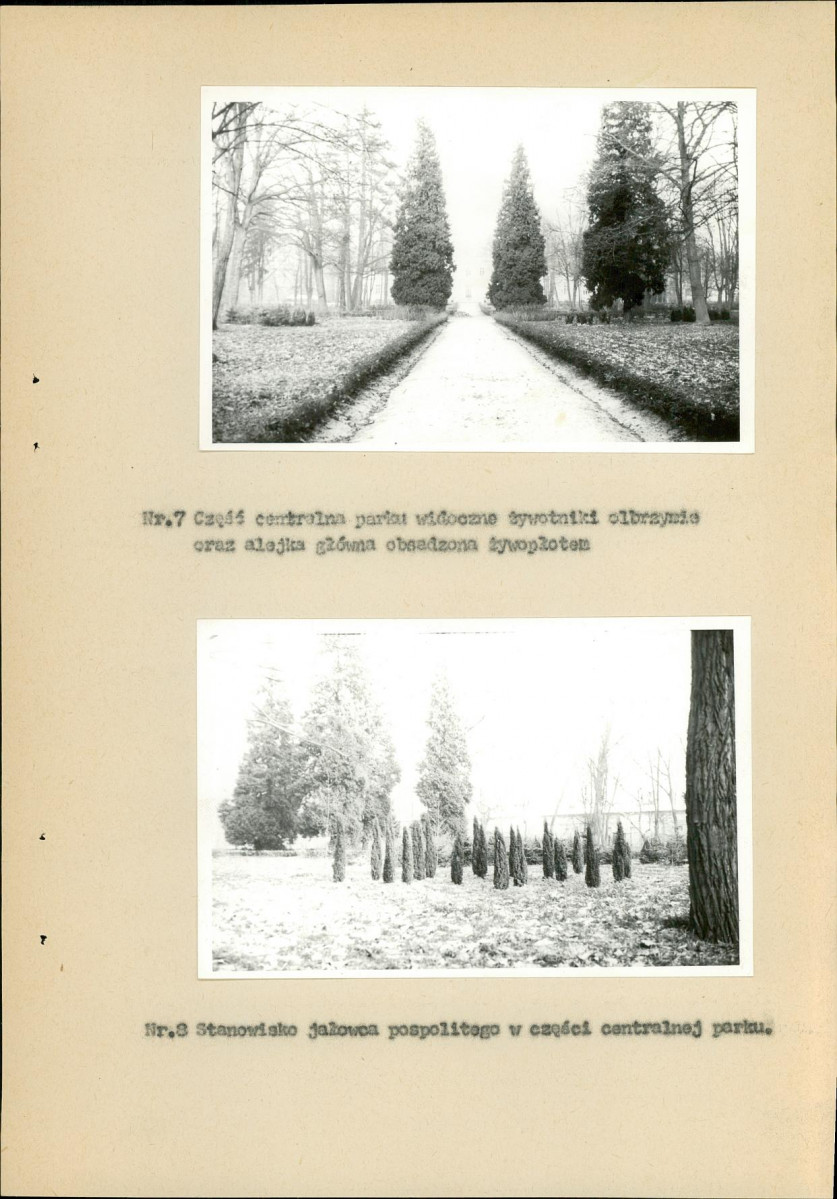 Ewidencja parkowa, skan nr 29