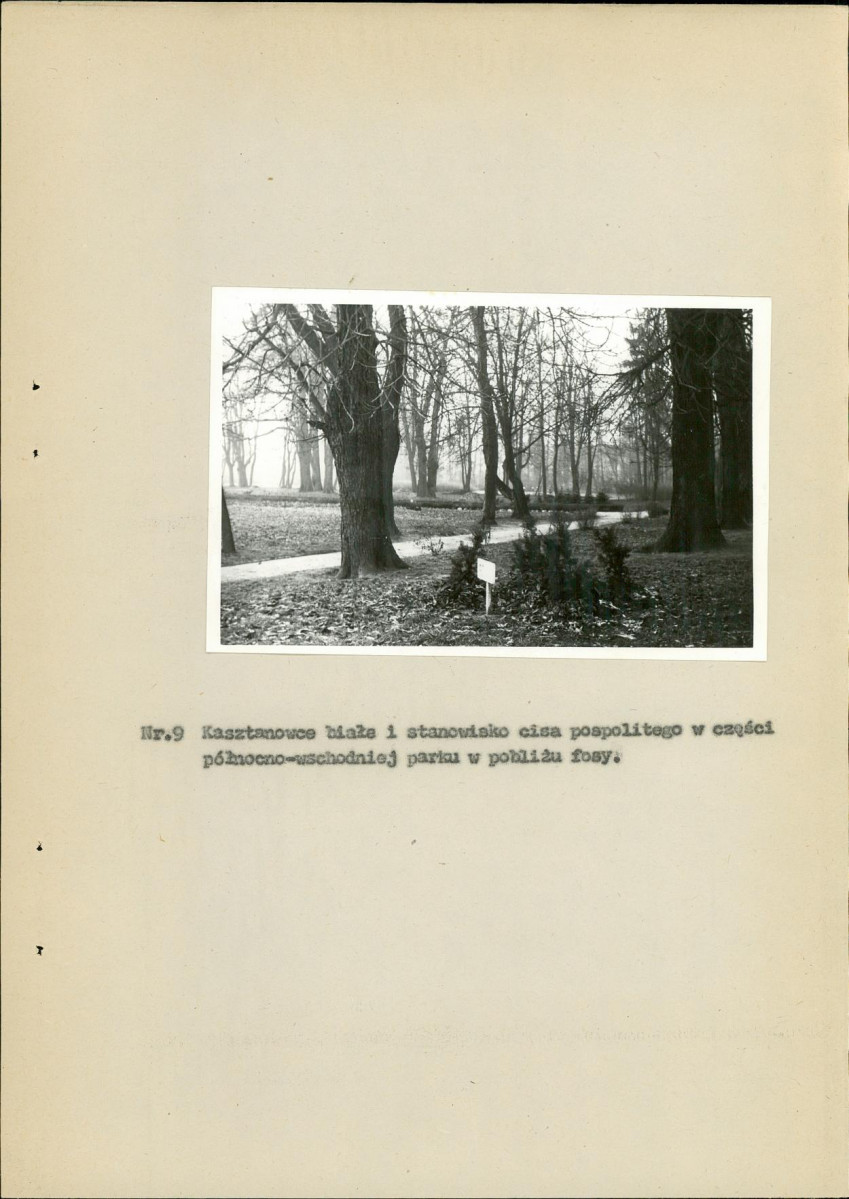 Ewidencja parkowa, skan nr 30