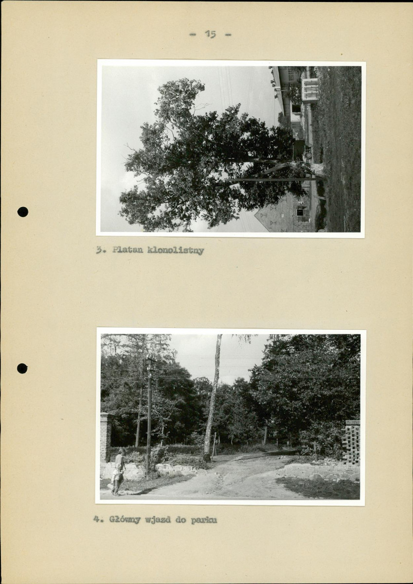 Ewidencja parkowa, skan nr 20