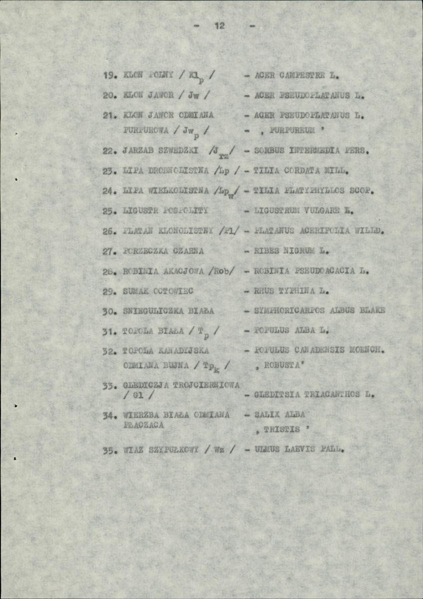 Ewidencja parkowa, skan nr 17