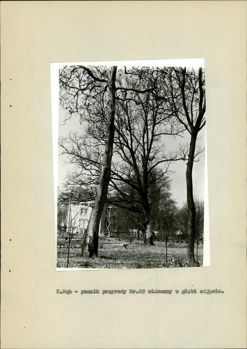 Ewidencja parkowa, skan nr 24