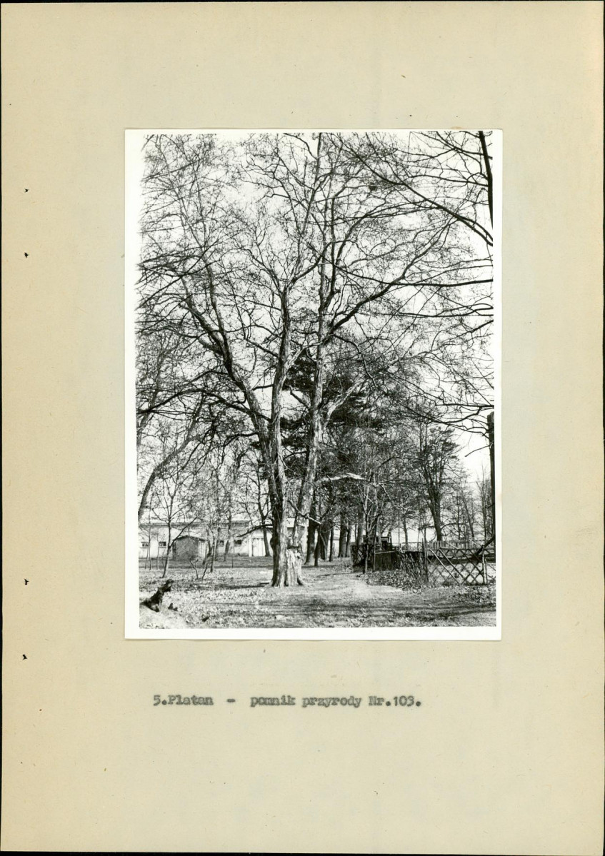 Ewidencja parkowa, skan nr 27