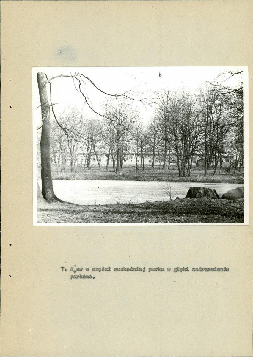 Ewidencja parkowa, skan nr 29
