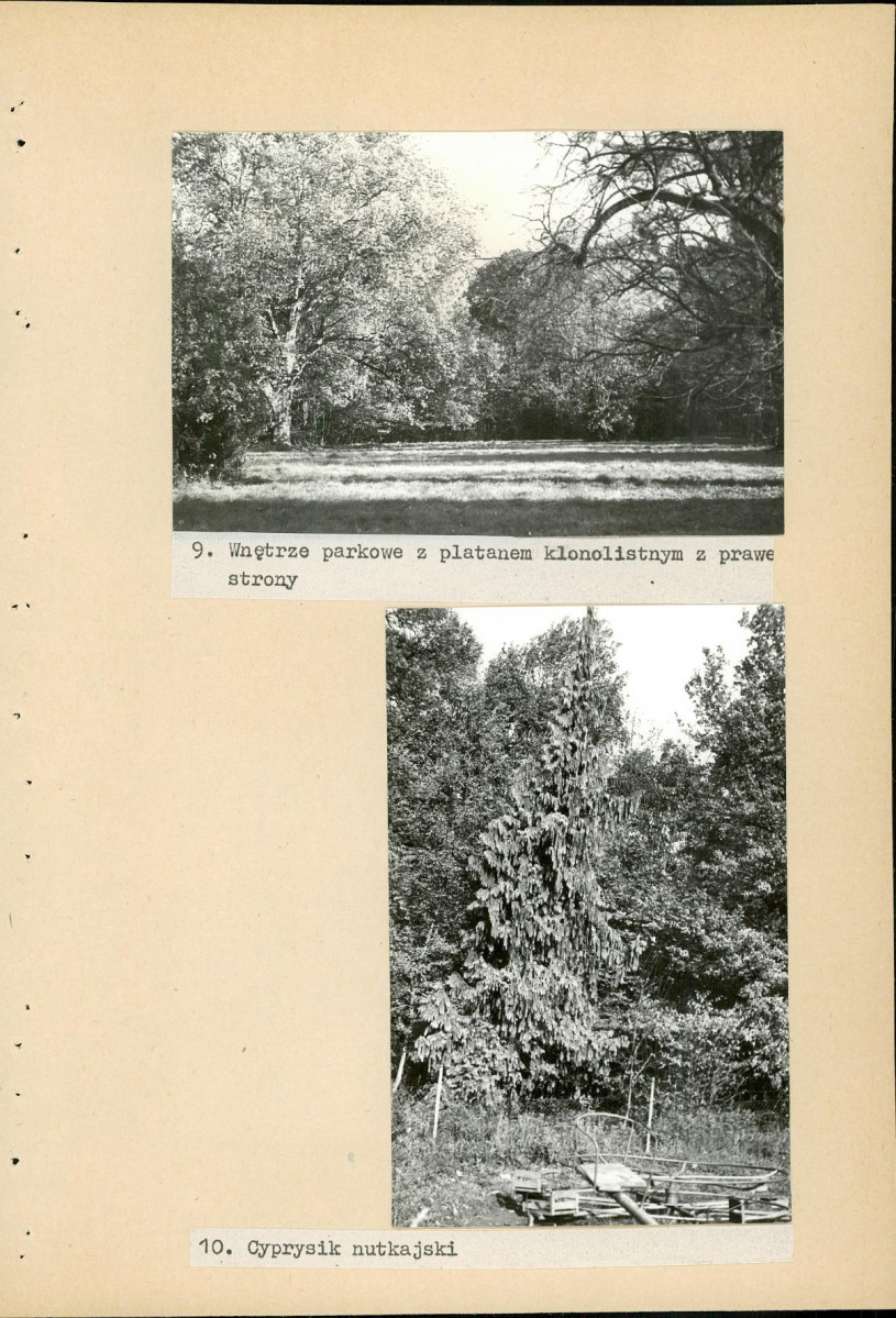 Ewidencja parkowa, skan nr 59