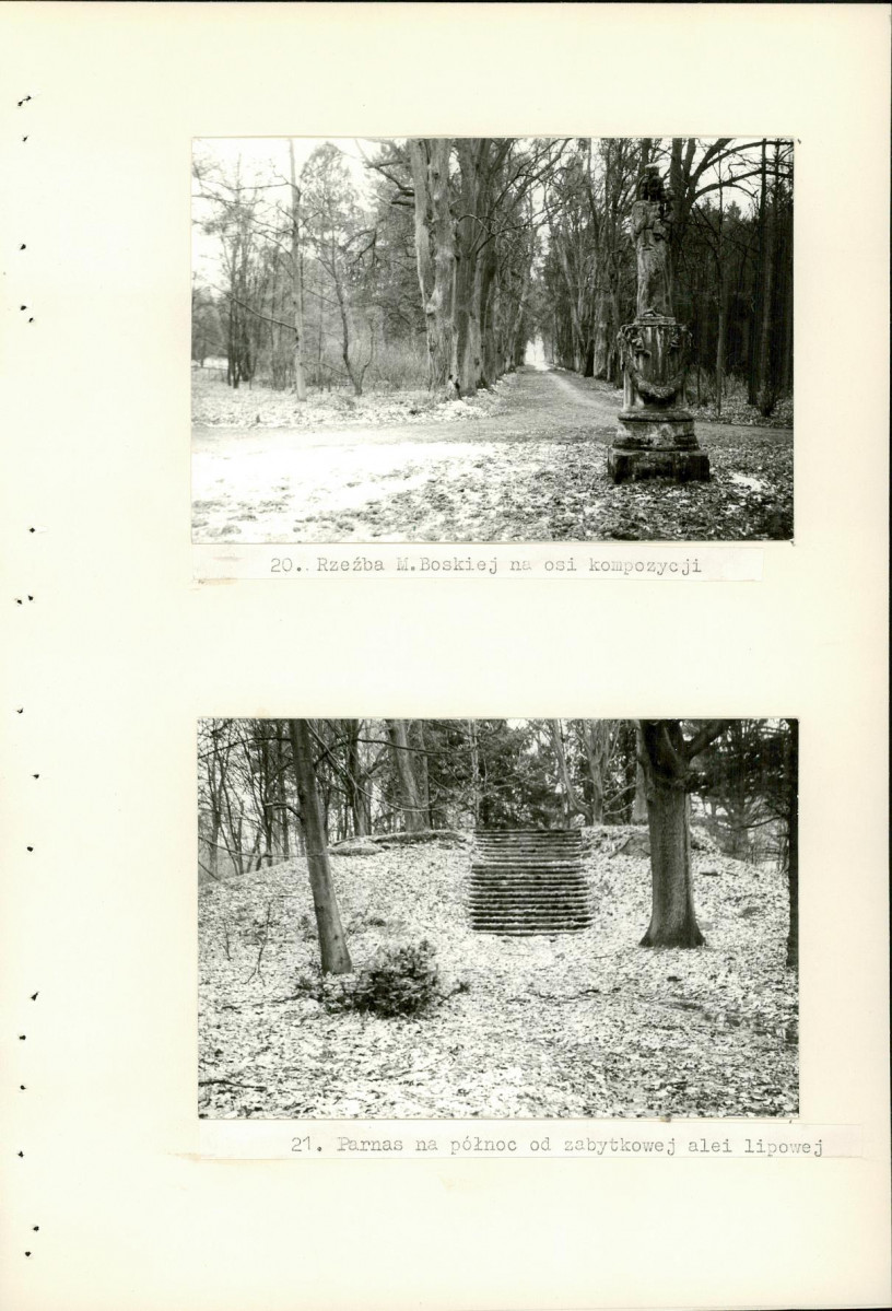 Ewidencja parkowa, skan nr 65