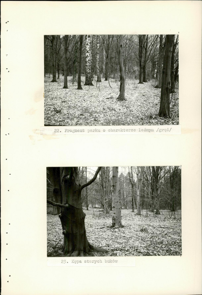 Ewidencja parkowa, skan nr 66