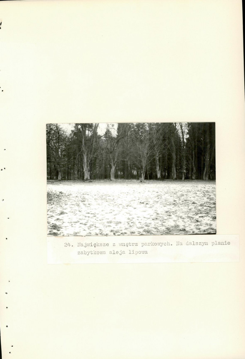 Ewidencja parkowa, skan nr 67