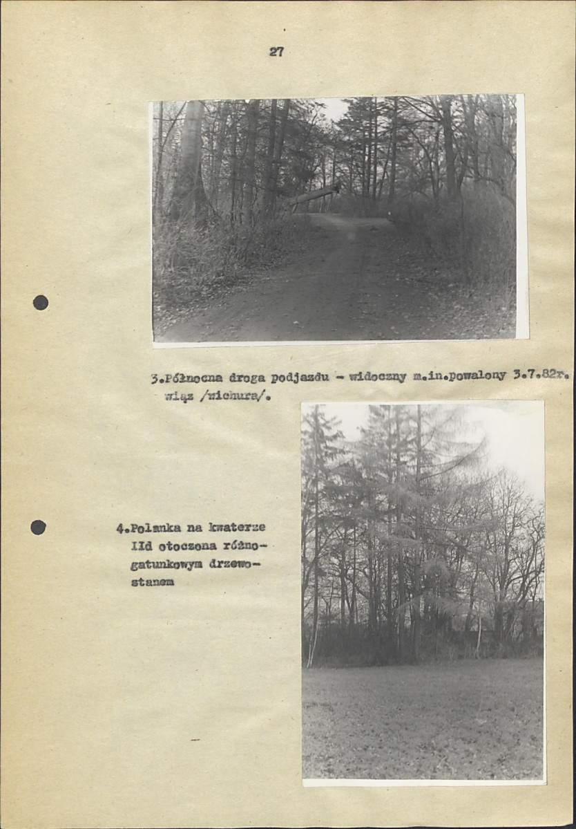 EP - Ewidencja parkowa, skan nr 33