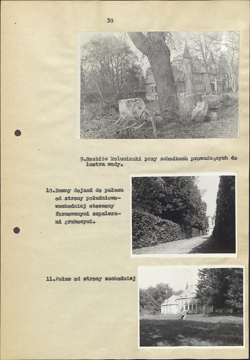 EP - Ewidencja parkowa, skan nr 36
