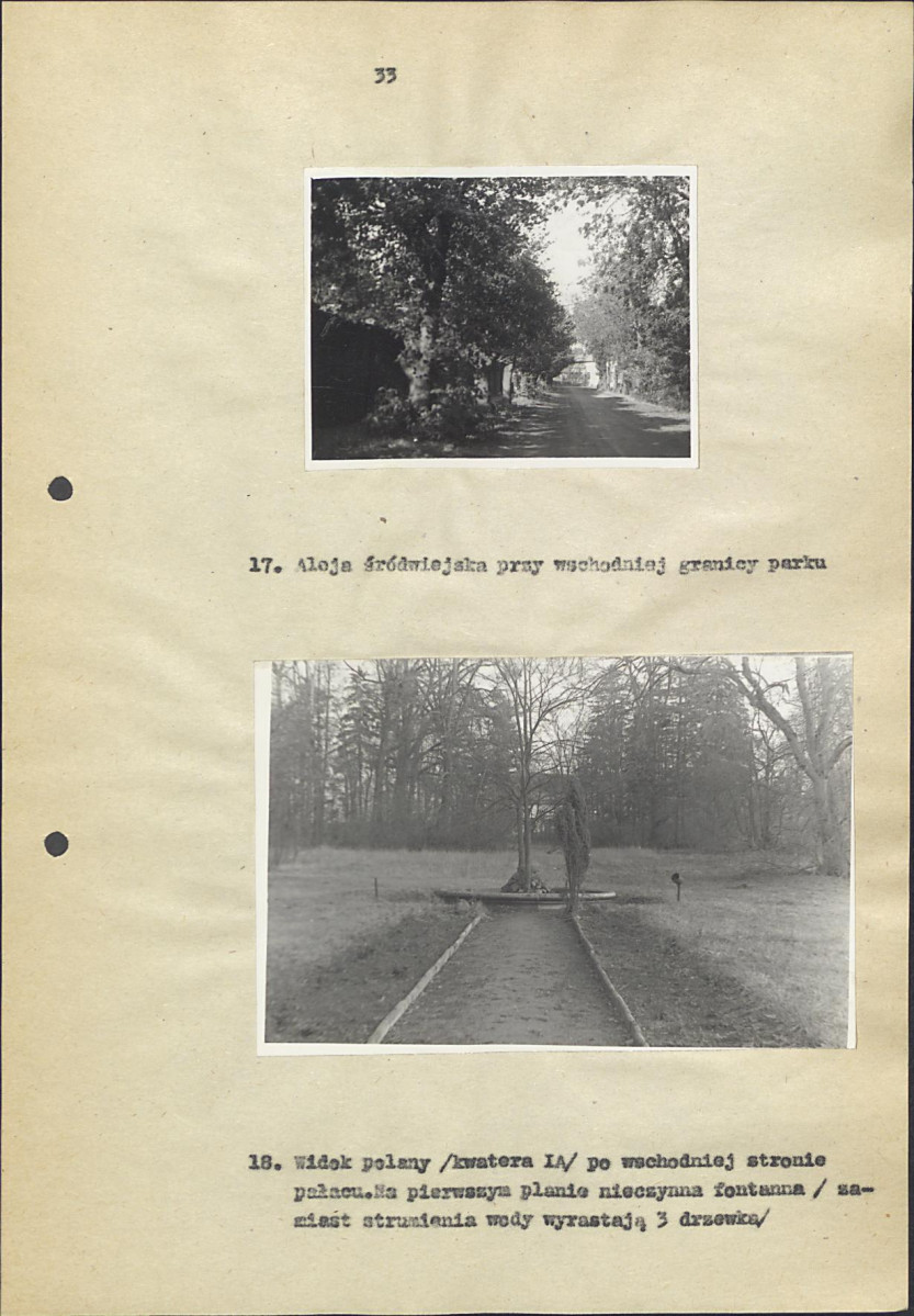 EP - Ewidencja parkowa, skan nr 39