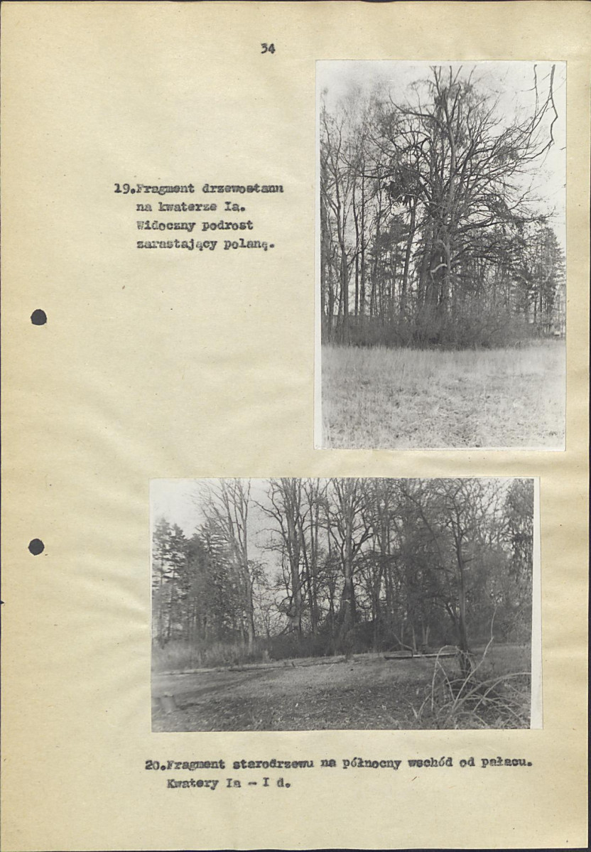 EP - Ewidencja parkowa, skan nr 40