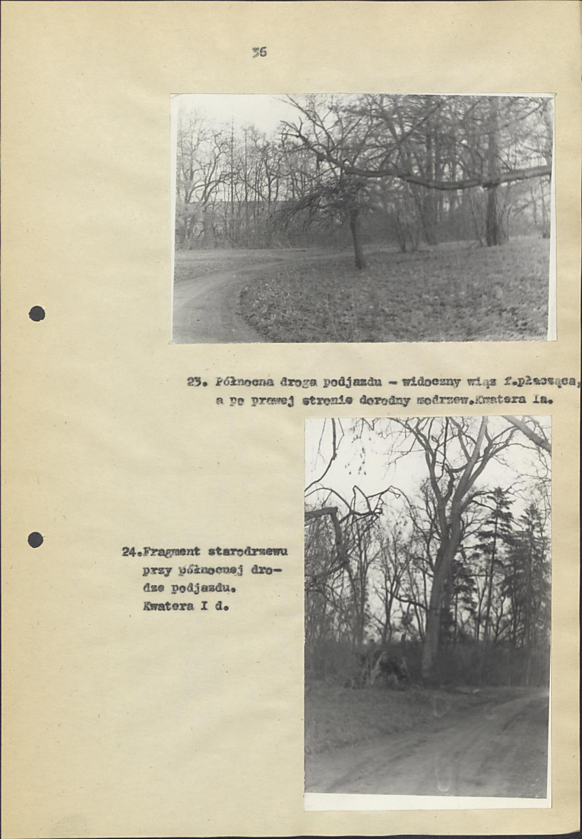 EP - Ewidencja parkowa, skan nr 42