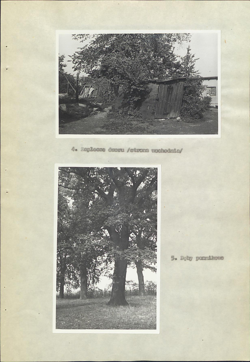 EP - Ewidencja parkowa, skan nr 23