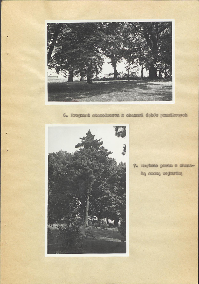 EP - Ewidencja parkowa, skan nr 24