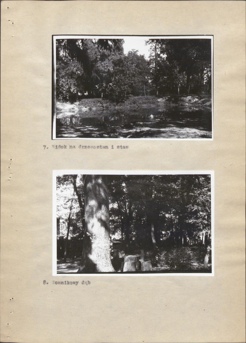 Ewidencja parkowa, skan nr 21