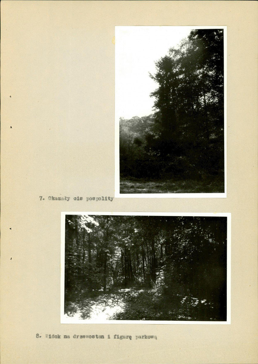 Ewidencja parkowa, skan nr 27