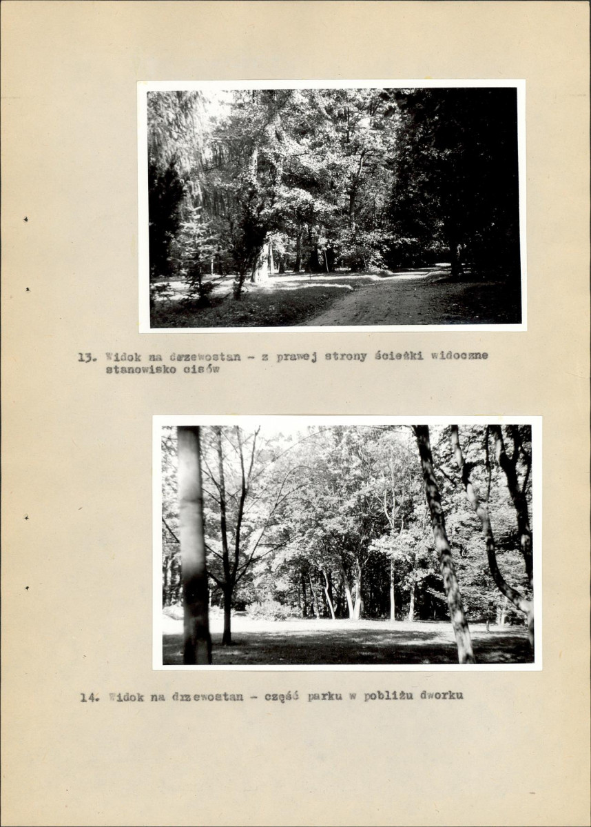 Ewidencja parkowa, skan nr 30