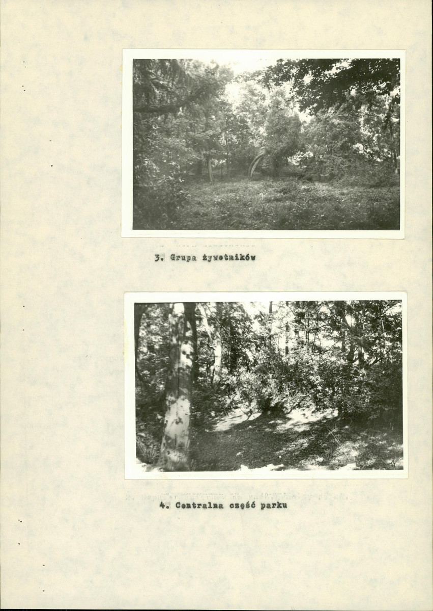 EP - Ewidencja parkowa, skan nr 21