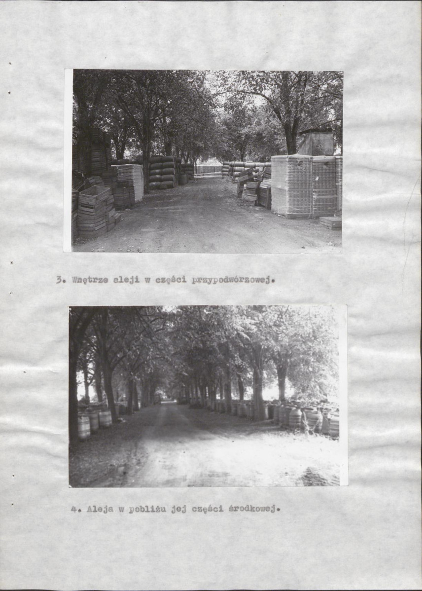 Ewidencja parkowa, skan nr 16