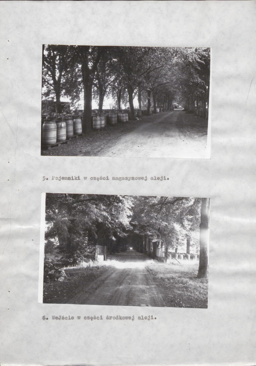 Ewidencja parkowa, skan nr 17